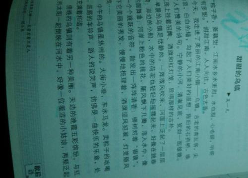 [PK赛]环保成分：家乡变化_400字