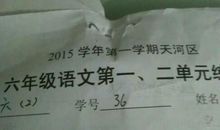 我写的第一本书_350字