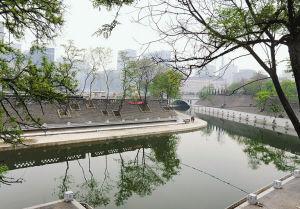 保护moat_300字