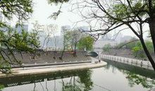 保护护城河_300字