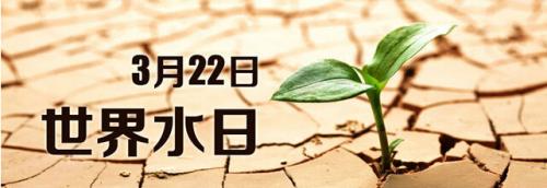 [PK]关于世界水日的构成：水，我们需要you_200字