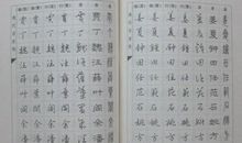 单元作文：电脑争夺战_450字