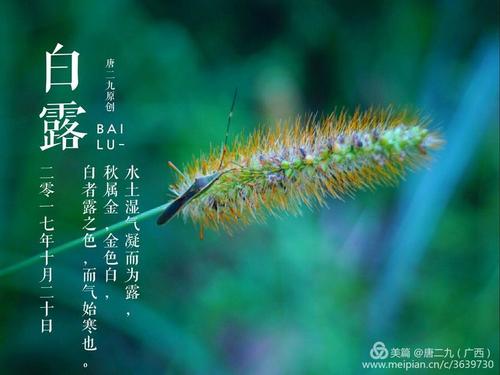 绿色梦想_750字