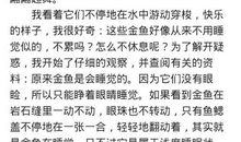 单元作文：可爱的金鱼_400字