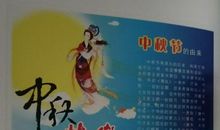 我最喜爱的一本书??????????_550字