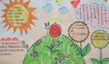 爱护环境 从我做起