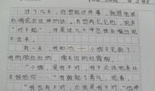 我与书的故事_1000字