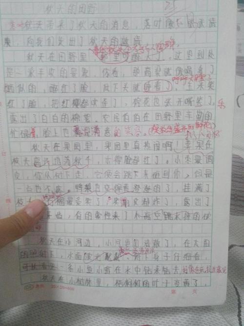 [PK赛]关于秋天的构图：美丽的秋天_300个单词