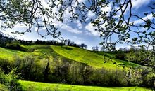 [春天来了]春天你真美！_500字