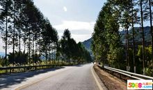 成长道路上的阳光_600字