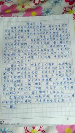 [PK赛]关于秋天的作文：秋天的女孩_400个单词