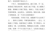 关于冰雪的作文_900字