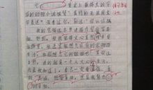 我最喜欢的一本书_550字