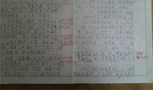 初三议论文：合作双赢_800字