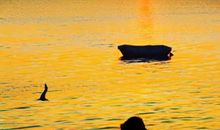 21班，我们的家_900字