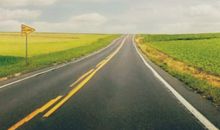 走在荆棘丛生的道路上_700字