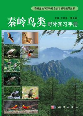 实地实习计划
