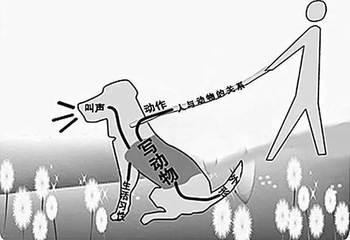 如何设计小学作文