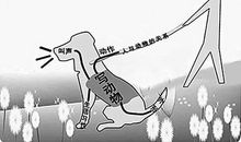 小学作文如何构思