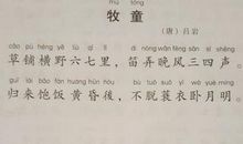 《牧童》 改写_300字