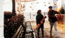 [秋天的童话]又一年秋来到_1500字