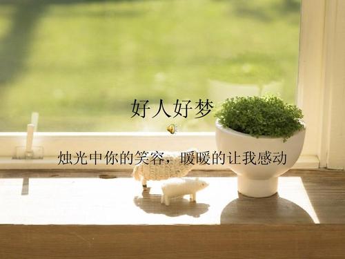 阅读曾经感动我_550字