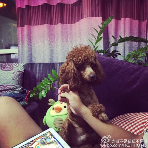 我在所附的高中_900字中期待的生活