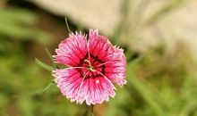 [秋天的童话]逝去的友情_1200字