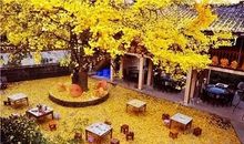 [秋天的童话]深秋佳色_800字