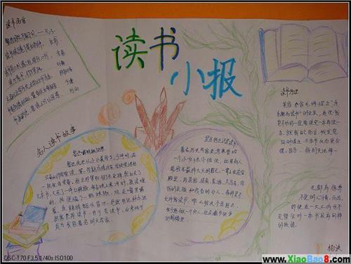 我的阅读故事
