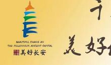 从身边的小事说起_900字