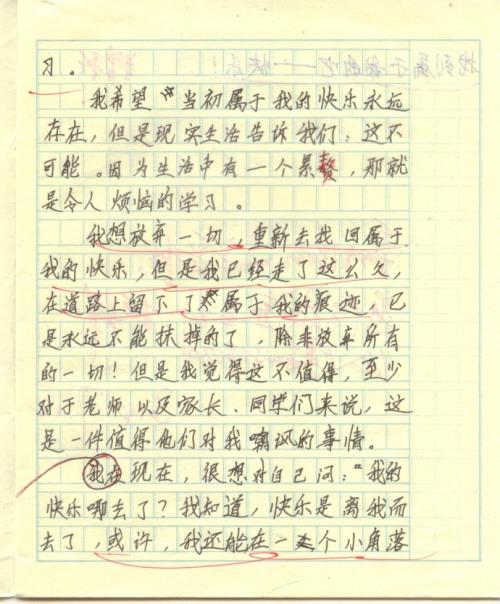关于幸福的构图：幸福的家_550字