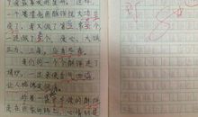 关于快乐的作文：快乐童年_550字