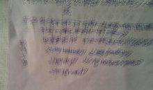 六年级英语作文：My home_450字