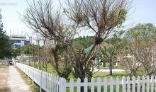 田园中的小路_700字