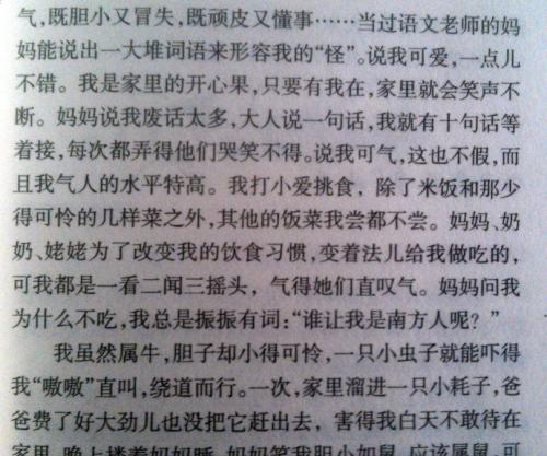 关于幸福的构图：快乐森林湾_800字