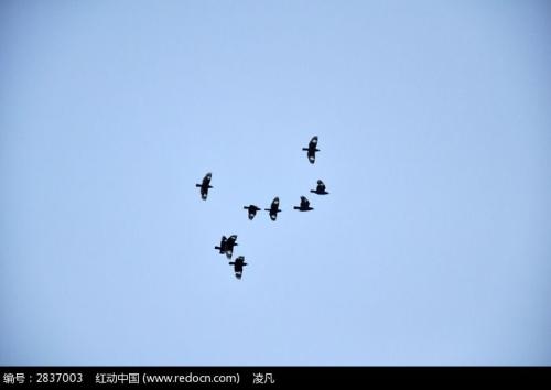 在幸福的天空中飞翔_800字