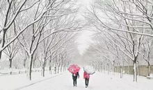 雪中的冬天_800字