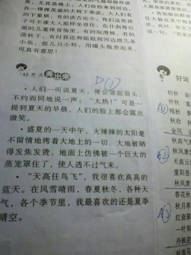 春天的好句子：鲜花盛开_800字