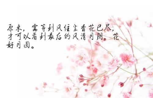心中的爱_700字