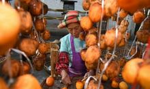 我心中的那片秋_700字