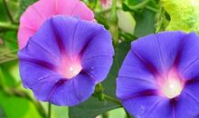 我发现了时空道路_600字