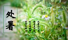 关于处暑的作文：处暑是什么季节？_700字