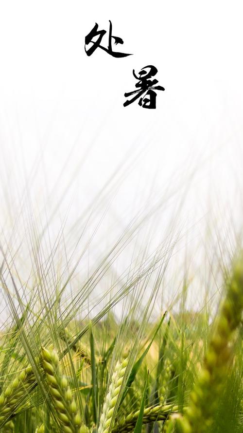 关于中枢的成分：中枢有规律的饮食_400字