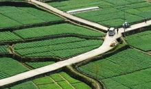 高二状物作文：寻江南_1500字