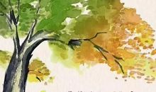 关于处暑的作文：处暑 ： 天高云淡 露浓于野_2000字