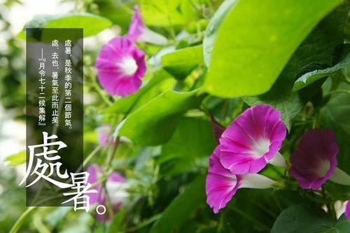 楚书构图：夏秋最美的地方（2）_500字