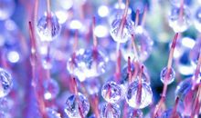 为了地球的明天_400字