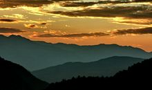 走在洒满阳光的小路上_650字