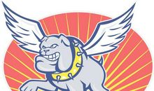 [超新星初中组]飞翔的翅膀_600字